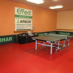 Stolnotenisovy klub SC Gerflor Taraflex Table Tennis 7.0 400 m2 -.jpg