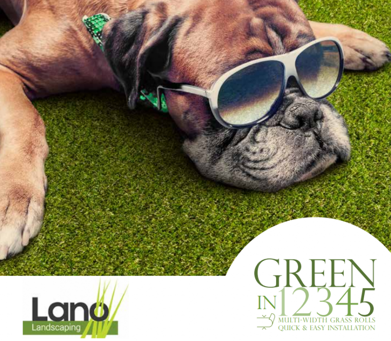 LANO Green12345