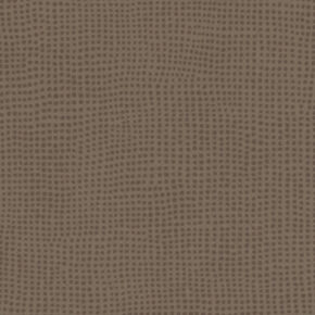 0049 DIVERSION CARBONE