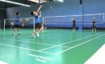 Gerflor TARAFLEX Badminton