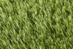 umelý trávnik Lano Lilia