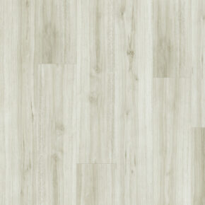 dub roma 14167-1