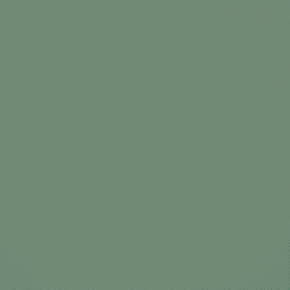 Gerflor Taraflex Evolution 6553 FERN