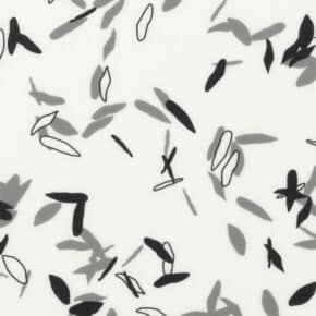 taralay impression compact 1098 ENVOL BLACK & WHITE