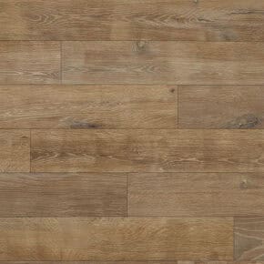 Novoflor-Extra-AMOS-2017-84