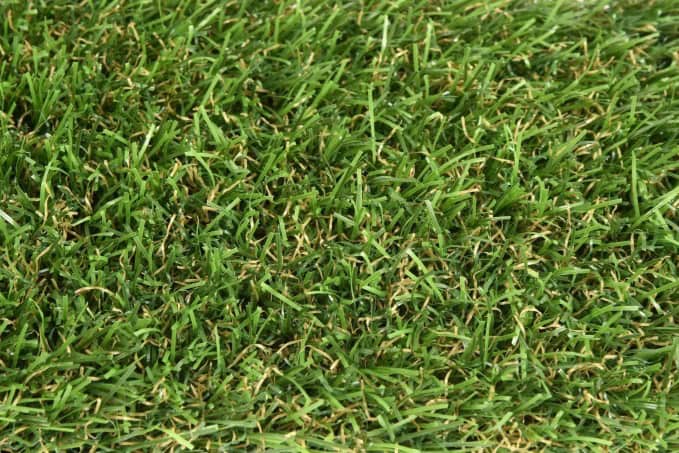 Umleý trávnik Lano Expolawn