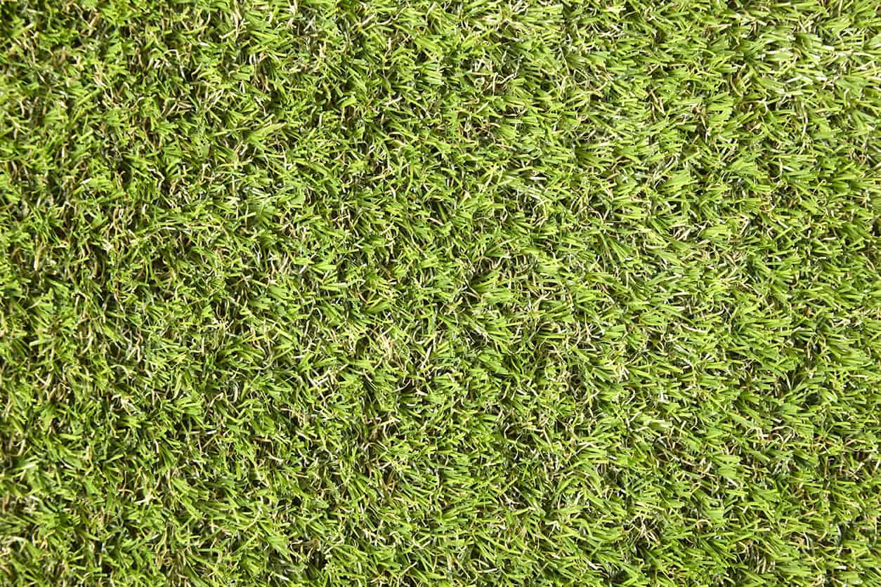 umelá tráva Easy Lawn Lano Anica