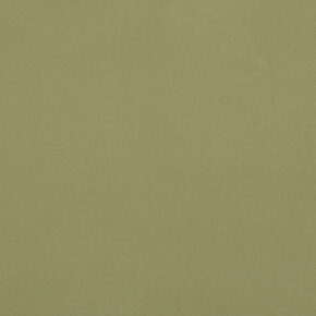 dlw uni walton 0090 olive