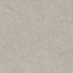 dlw marmorette 0091 shiitake mushroom