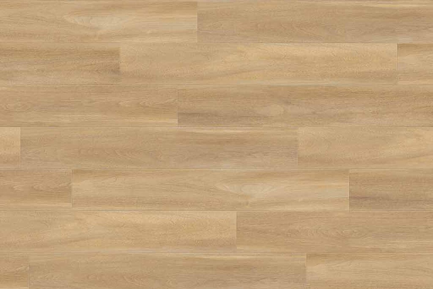 0851 BOSTONIAN OAK HONEY