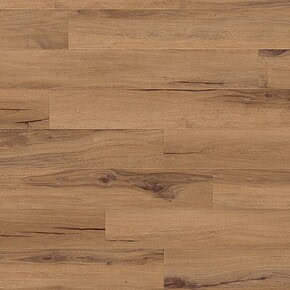 1606 CEDAR GOLDEN