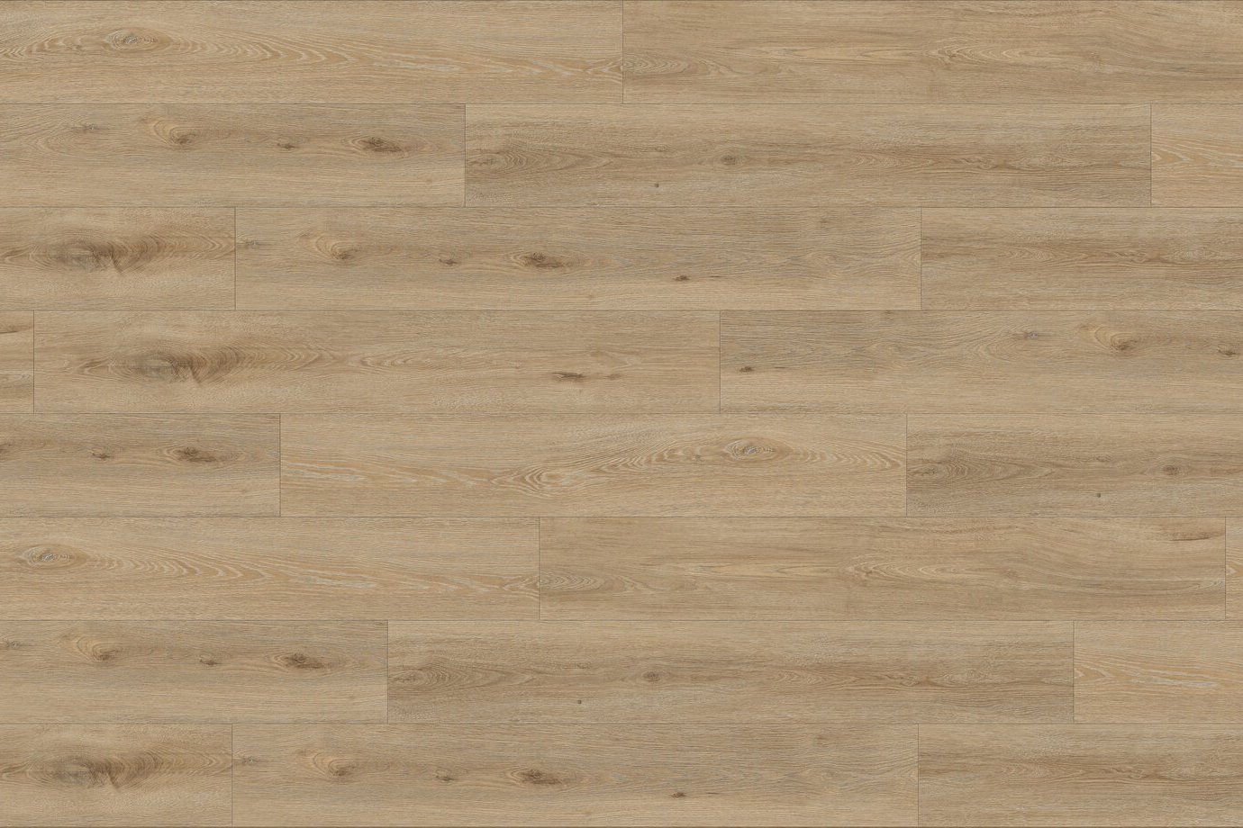 1707 AQUINOAH NATURE