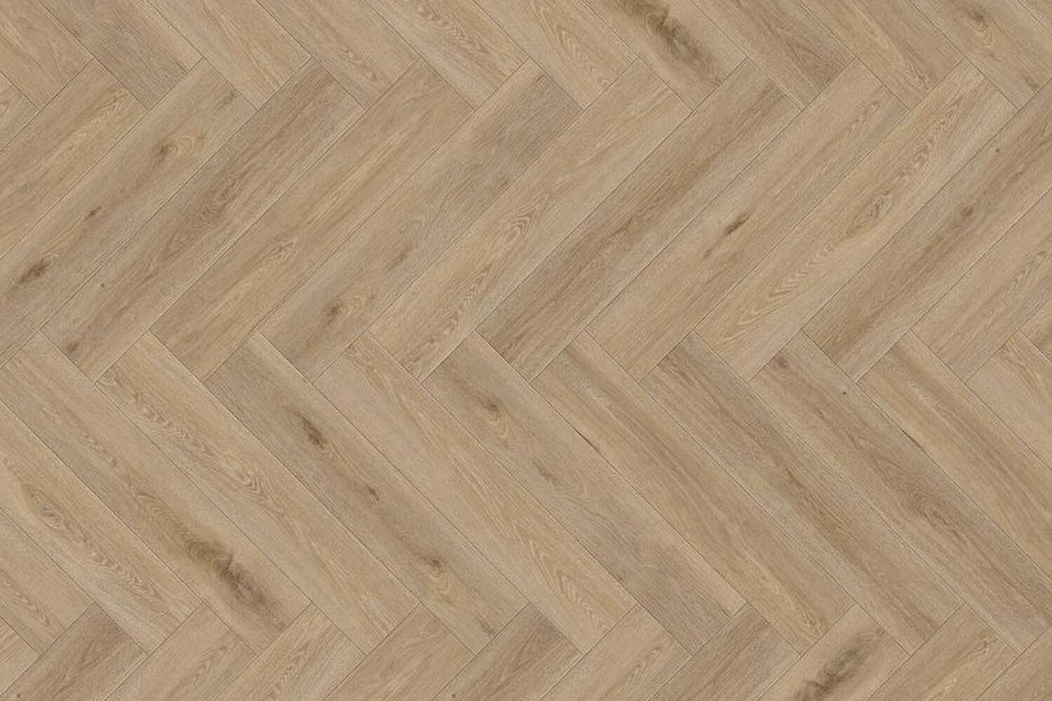 1707 AQUINOAH NATURE