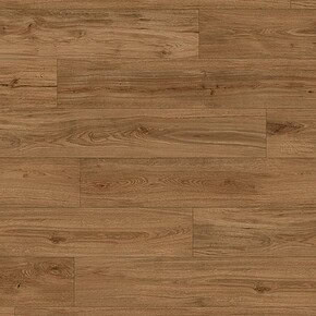 1716 CITY OAK BROWN