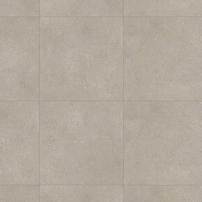 1723 BACKYARD GREY